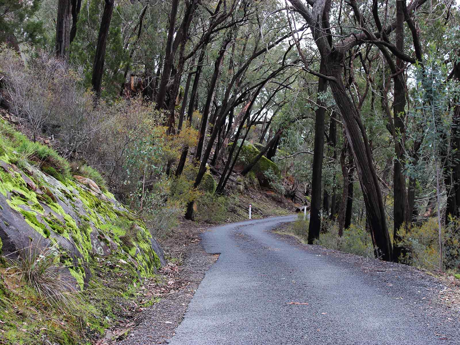 Beechworth Gorge Walk - Beechworth