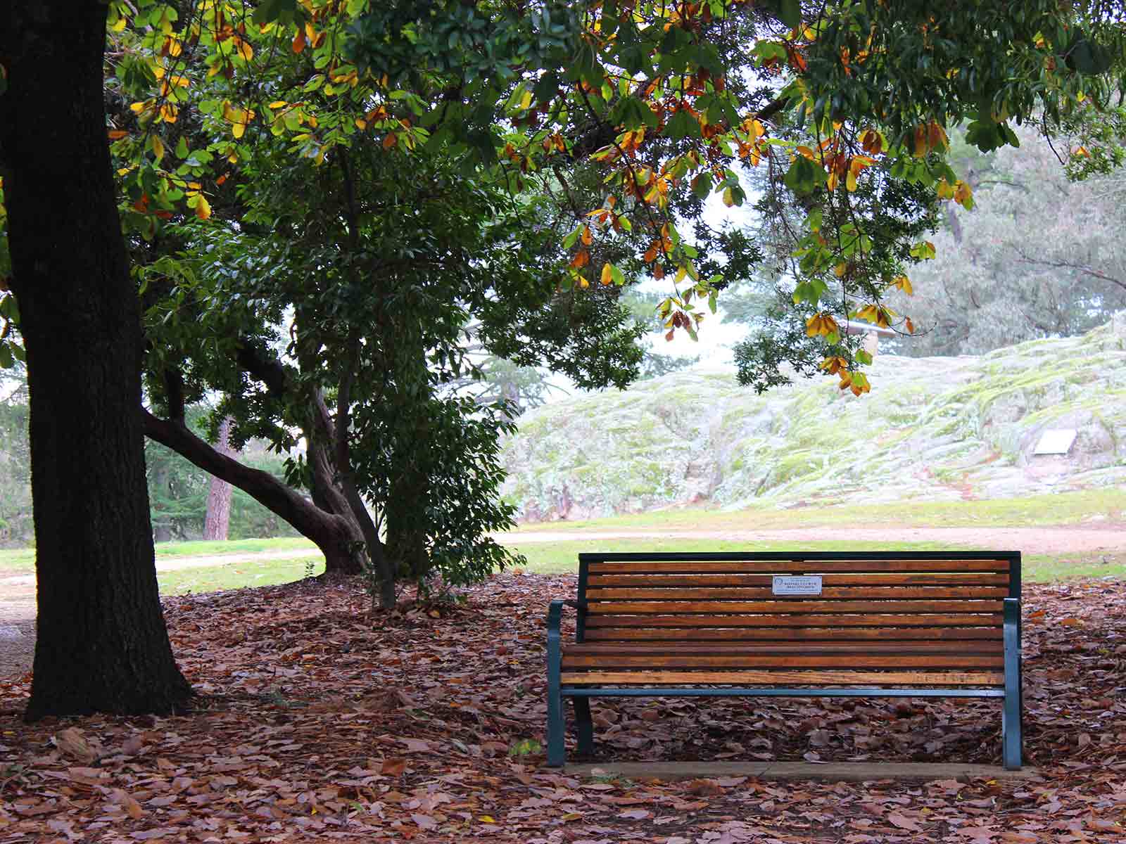 Picnicking At Victoria Park - Beechworth