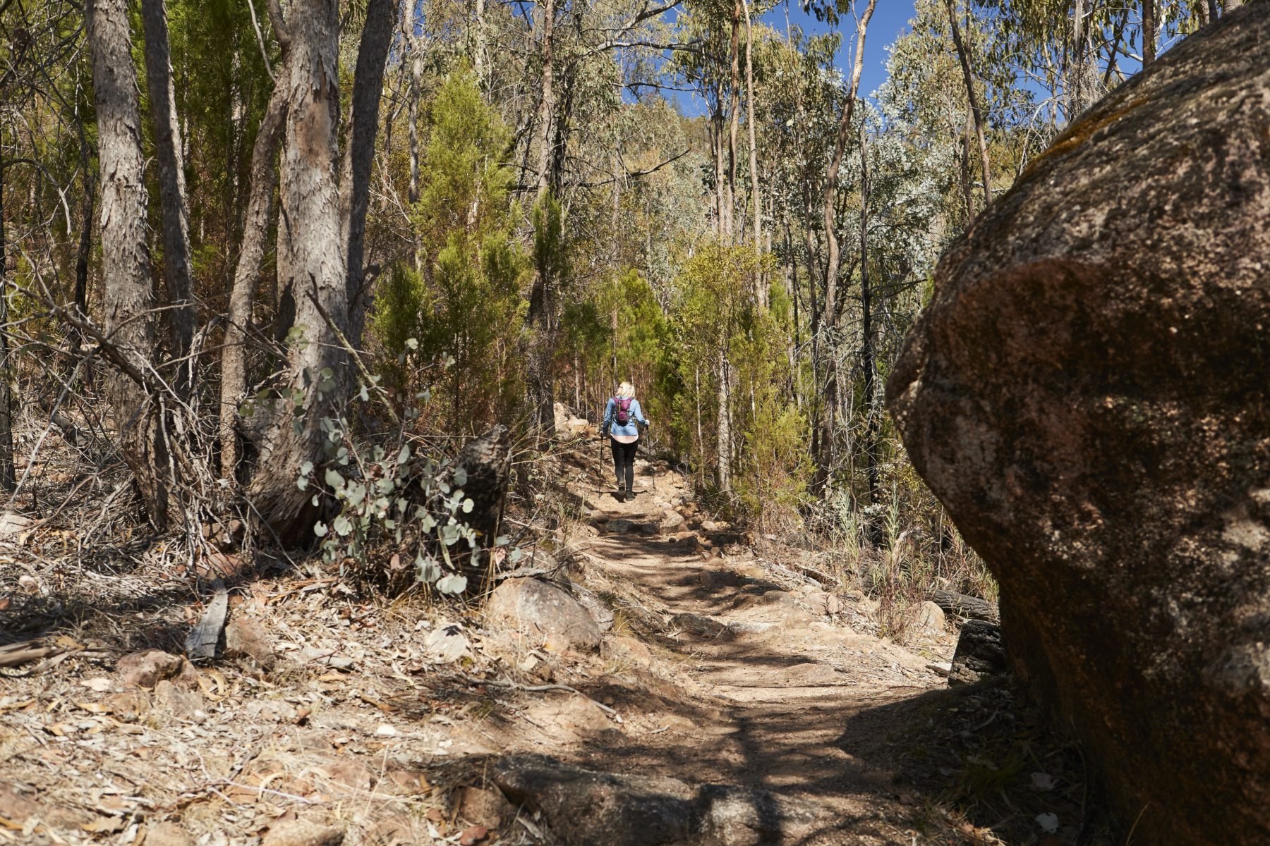 Yeddonba Aboriginal Cultural Site Walk - Beechworth