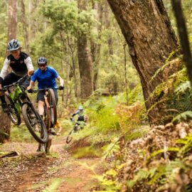 Group of cyclists jumping mountain biking features on the Indigo Epic trail