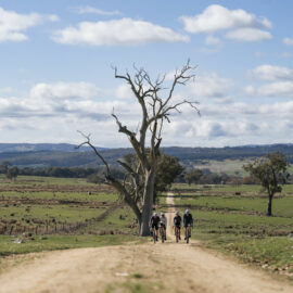 Beechworth Gravel Routes - Beechworth - Eldorado Loop