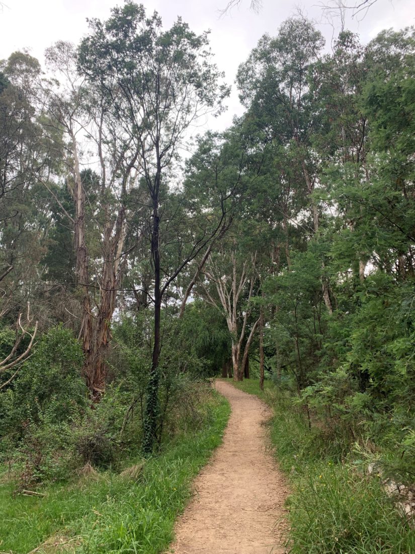 Yackandandah Gorge Scenic Walk - Beechworth