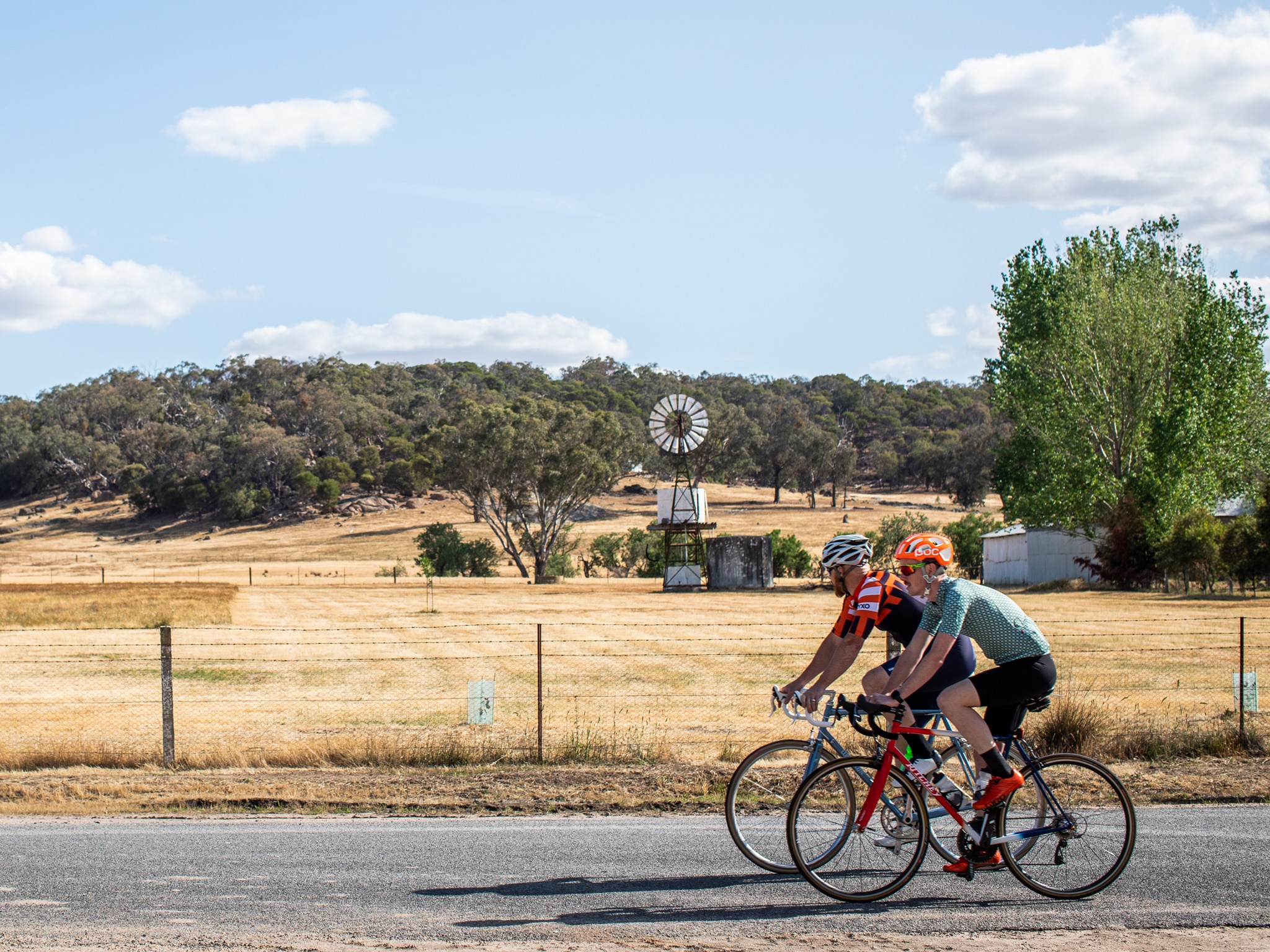 Road cyclists riding past farmland